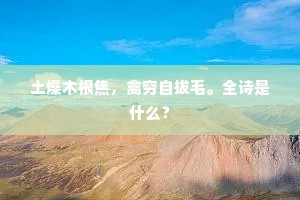 土燥木根焦，禽穷自拔毛。全诗是什么？
