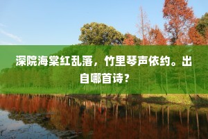 深院海棠红乱落，竹里琴声依约。出自哪首诗？