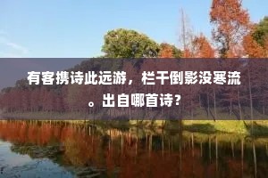有客携诗此远游，栏干倒影没寒流。出自哪首诗？