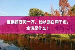 岂俟葭苍问一方，始从露白淘千虑。全诗是什么？