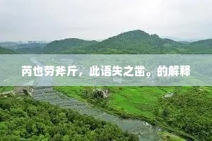 芮也劳斧斤，此语失之凿。的解释