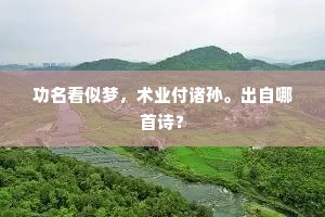 功名看似梦，术业付诸孙。出自哪首诗？