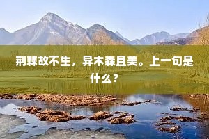 荆棘故不生，异木森且美。上一句是什么？