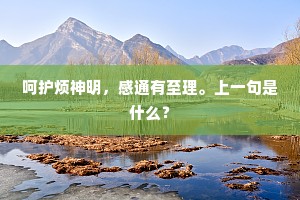 呵护烦神明，感通有至理。上一句是什么？