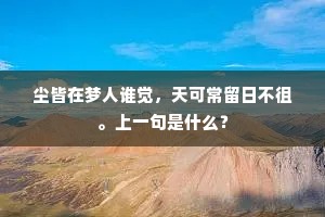 尘皆在梦人谁觉，天可常留日不徂。上一句是什么？