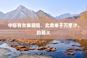 中郎有女奏胡笳，北度单于万里沙。的释义