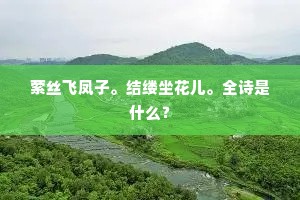 萦丝飞凤子。结缕坐花儿。全诗是什么？