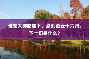谁知大帅临城下，忍割燕云十六州。下一句是什么？