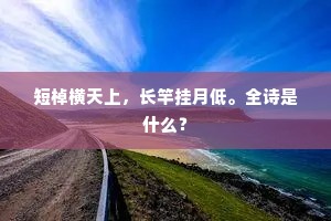 短棹横天上，长竿挂月低。全诗是什么？