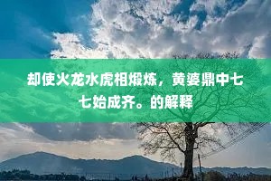 却使火龙水虎相煅炼，黄婆鼎中七七始成齐。的解释