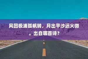风回极浦孤帆转，月出平沙远火微。出自哪首诗？