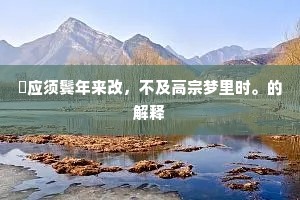 祇应须鬓年来改，不及高宗梦里时。的解释
