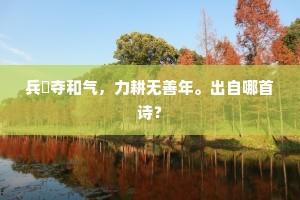 兵祲夺和气，力耕无善年。出自哪首诗？
