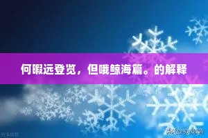 何暇远登览，但哦鲸海篇。的解释