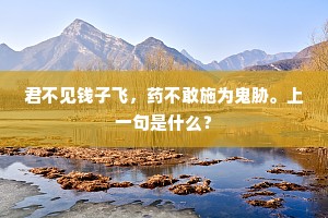 君不见钱子飞，药不敢施为鬼胁。上一句是什么？