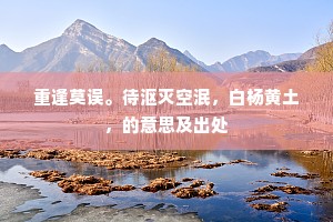 重逢莫误。待沤灭空泯，白杨黄土，的意思及出处