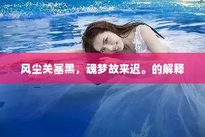 风尘关塞黑，魂梦故来迟。的解释