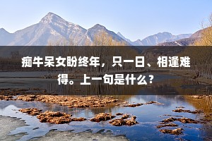 痴牛呆女盼终年，只一日、相逢难得。上一句是什么？