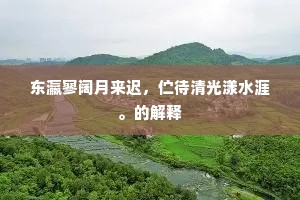 东瀛寥阔月来迟，伫待清光漾水涯。的解释