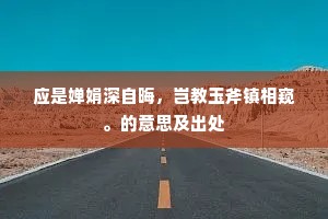 应是婵娟深自晦，岂教玉斧镇相窥。的意思及出处
