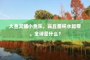大鱼泥蟠小鱼乐，高丘覆杯水如带。全诗是什么？