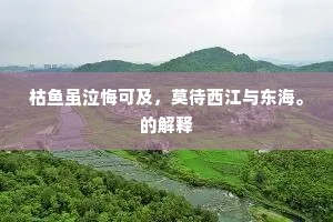 枯鱼虽泣悔可及，莫待西江与东海。的解释