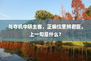 与夺机中明主客，正偏位里辨君臣。上一句是什么？