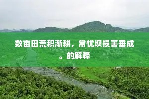 数亩田荒积渐耕，常忧坝损害垂成。的解释