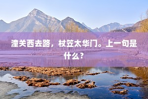 潼关西去路，杖笠太华门。上一句是什么？