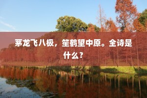 茅龙飞八极，笙鹤望中原。全诗是什么？