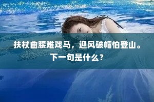 扶杖曲腰难戏马，迎风破帽怕登山。下一句是什么？