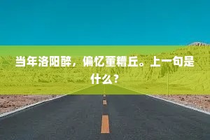 当年洛阳醉，偏忆董糟丘。上一句是什么？