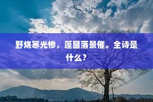 野烧寒光惨，篷窗落景催。全诗是什么？