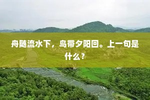 舟随流水下，鸟带夕阳回。上一句是什么？