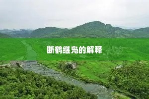 断鹤继凫的解释