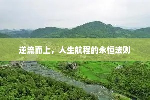 逆流而上，人生航程的永恒法则