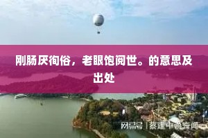 刚肠厌徇俗，老眼饱阅世。的意思及出处