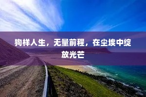 狗样人生，无量前程，在尘埃中绽放光芒
