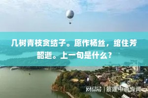 几树青枝贪结子。愿作杨丝，绾住芳韶逝。上一句是什么？