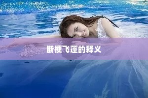 断梗飞蓬的释义