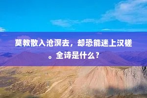 莫教散入沧溟去，却恐能迷上汉槎。全诗是什么？