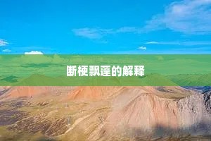 断梗飘蓬的解释