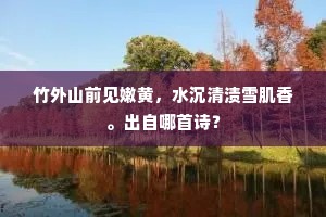 竹外山前见嫩黄，水沉清渍雪肌香。出自哪首诗？