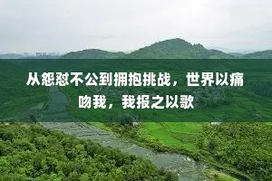 从怨怼不公到拥抱挑战，世界以痛吻我，我报之以歌