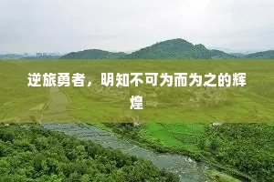 逆旅勇者，明知不可为而为之的辉煌