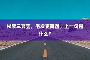杖藜三宴罢，毛发更萧然。上一句是什么？