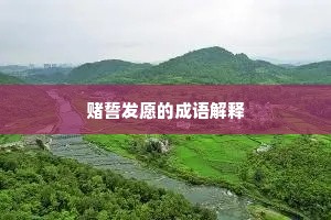 赌誓发愿的成语解释