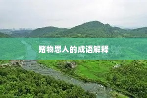 赌物思人的成语解释