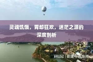 灵魂饥饿，胃却狂欢，迷茫之源的深度剖析