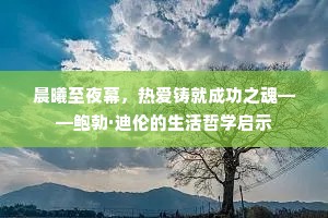 晨曦至夜幕，热爱铸就成功之魂——鲍勃·迪伦的生活哲学启示